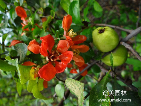 http://m.d0144.cn/ch/30.html